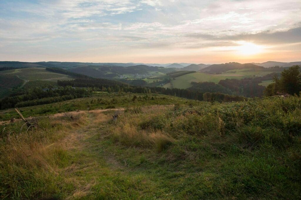 Uitzicht op de glooiende heuvels en dichte bossen van de Rothaarsteig in het Sauerland, met een wandelpad dat slingert door het landschap, wandelen in het Sauerland.