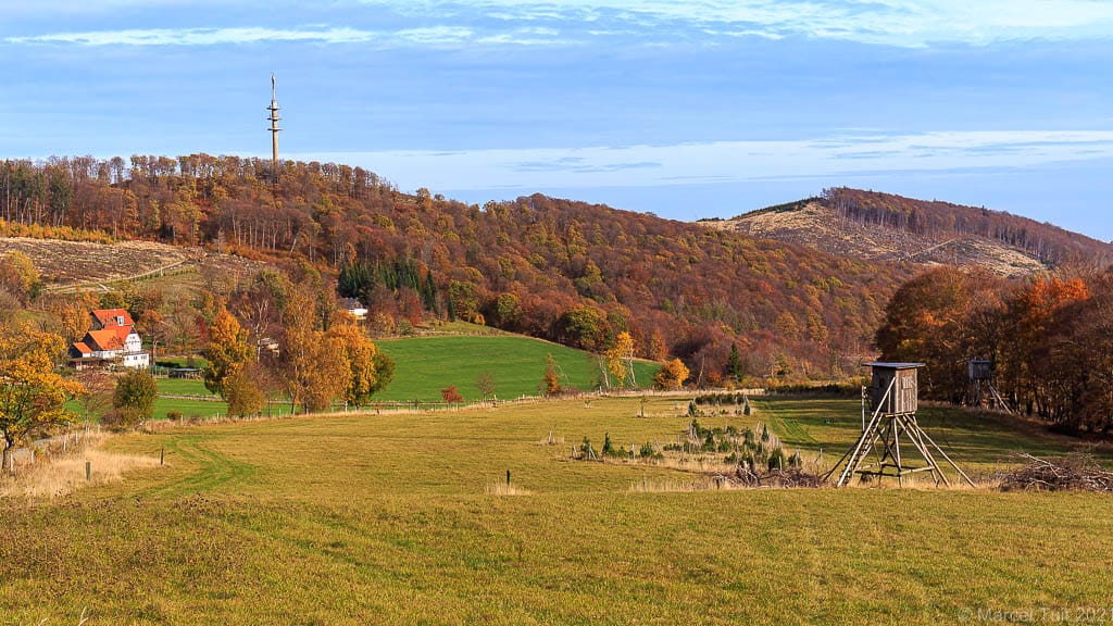 De serene omgeving van de Ruhrquelle, met een kronkelend bospaadje en helder water dat uit de bron stroomt, wandelen in het Sauerland.
