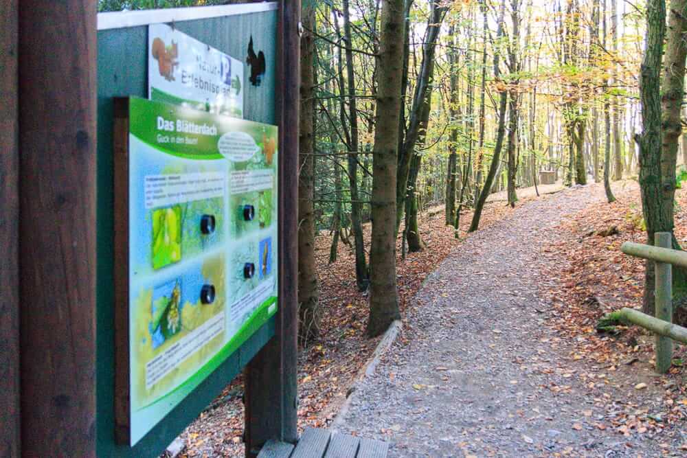 Kinderen spelen op houten klimrekken en ontdekken het kabouterpad langs de gezinsvriendelijke Kinderland Wandelroute bij Winterberg, wandelen in het Sauerland.