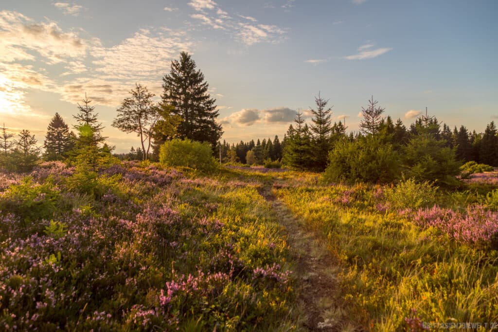 Panoramisch Uitzicht Winterberg: De 6 Mooiste Uitzichtpunten