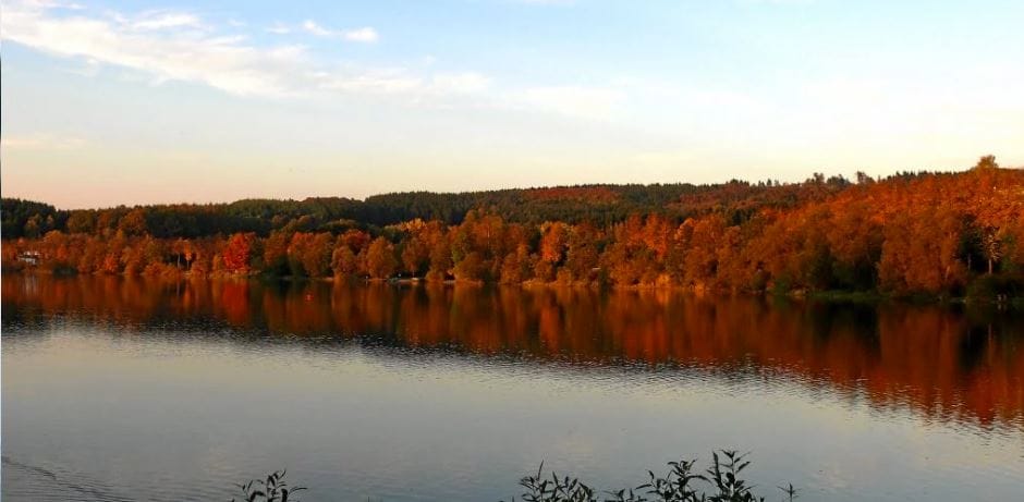 Een rustig wandelpad langs de oever van de Sorpesee, met gezinnen die genieten van de natuur en kinderen die spelen aan het water voor wandelen in het Sauerland.